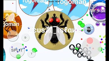 Playing Solo Blob.io Taking over