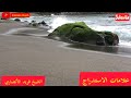 علامات الاستدراج الشيخ فريد الأنصاري رحمه الله فريد الأنصاري 