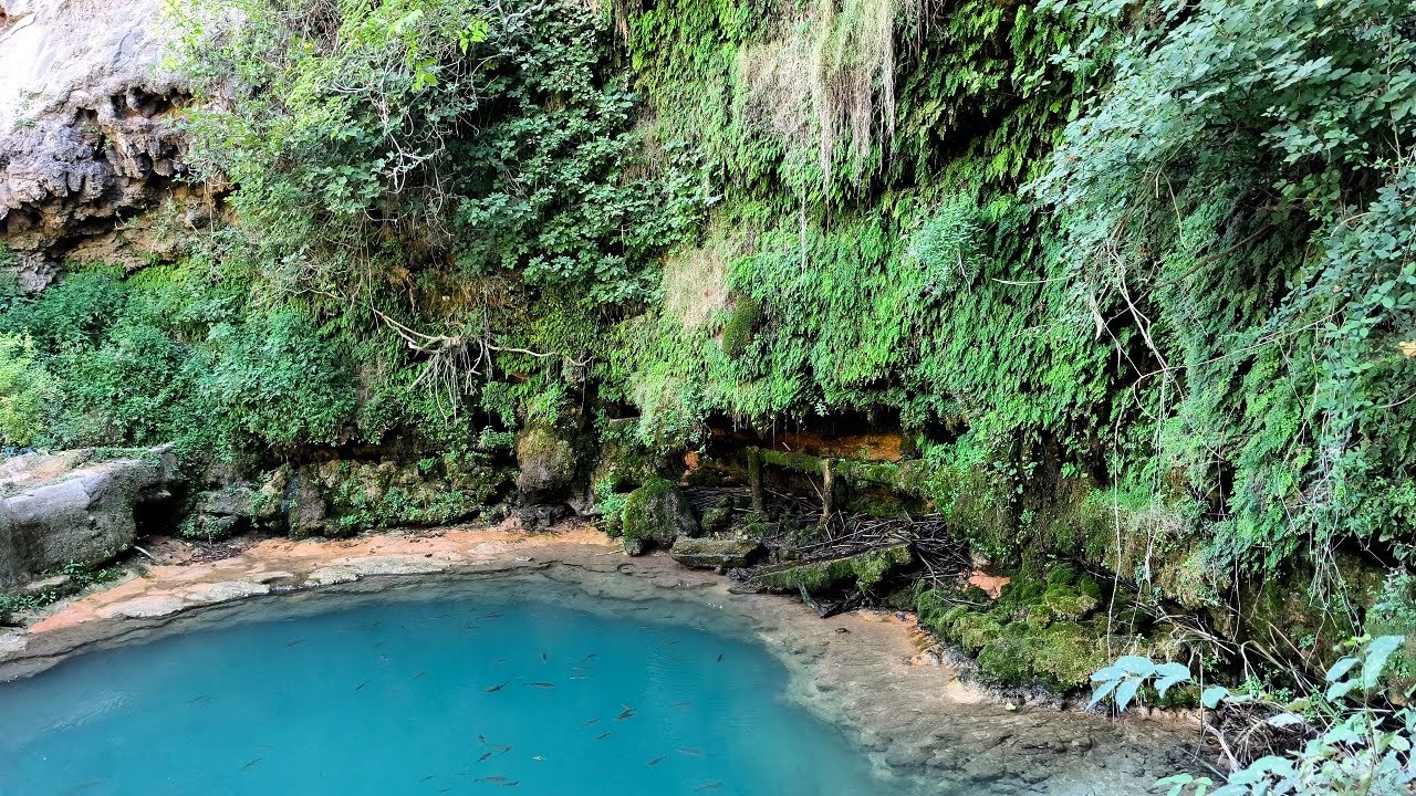 Calm Nature Soundscape | Relaxing Music in a Quiet Forest Pool