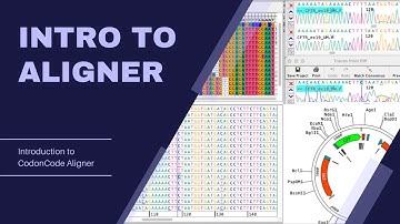 Introduction to CodonCode Aligner