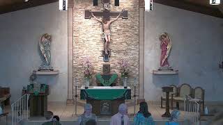 StStephenBulldogs Live Stream