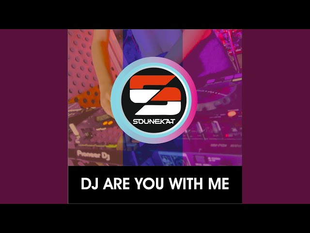 DJ Are You With Me class=