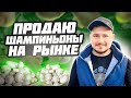 Сколько можно заработать за день, на продаже грибов и шампиньонов на рынке