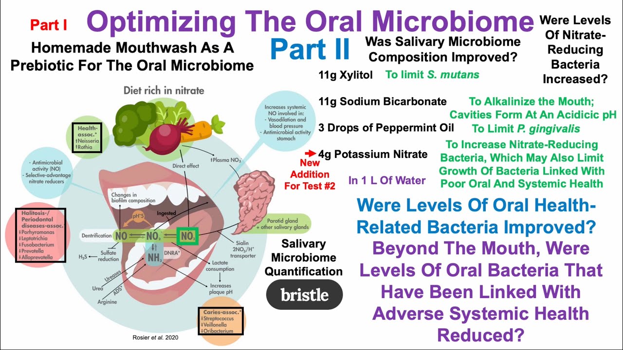 Biohacking The Oral Microbiome Test 2 YouTube