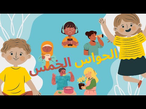 الحواس الخمس للأطفال الحواس الحواس الخمس