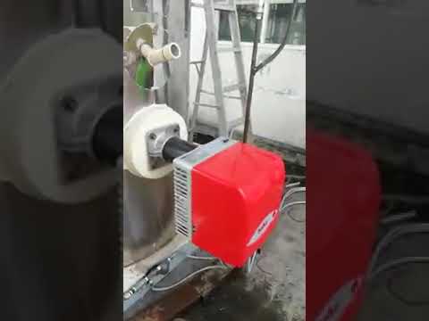 0.3 ton vertical gas fired team boiler for a factory in the Philippines