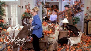 Can Sabrina Get Rid of the Poppies?