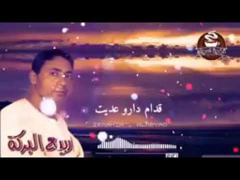 ربيع البركة وانا م الغربة راجع قدام دارو عديت عملت نفسي ما سامع وفي وداني الزغاريت