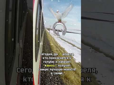Да благословит вас