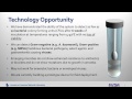 Tech Transfer Webinar: Amoeba Cysts as Natural Containers for the Transport and Storage of Pathogens