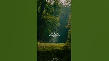 من سورة التغابن للقارئ رعد الكردي#سورة_التغابن#رعد_الكردي#رعدالكردى#قرآن#القرآن_الكريم#اكسبلور
