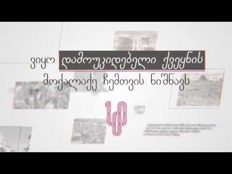 გურიელი თავისუფალი საქართველოსთვის - ოქროპირ თარგამაძე