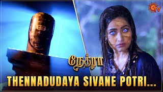 Naagamaga Maari Mass Kaatiya Nethra 🔥 | Nethra - Best Scenes | Tamil Serial | Sun TV