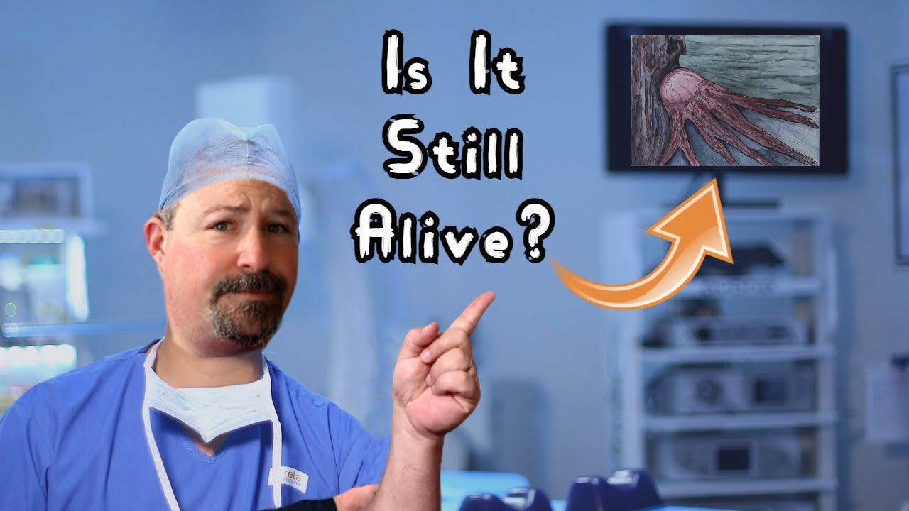 Does Art Matter Anymore? YouTube