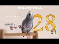 【爆笑】中に人いる?愉快すぎるお喋り小ネタ集!