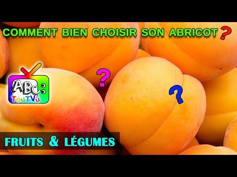 Vidéo: Choisir Des Abricots Résistants à L'hiver