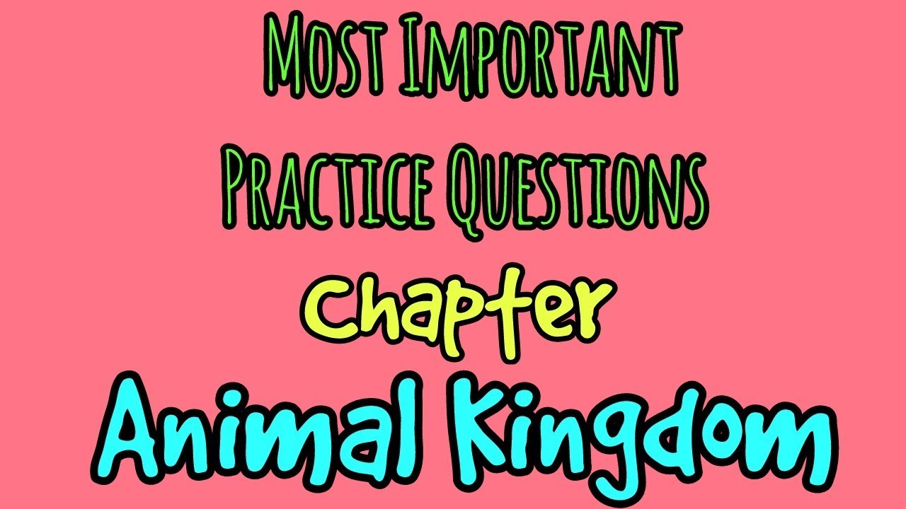 Most important questions from Animal kingdom chapter YouTube