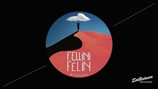 Fellini Félin - Turn Me On The Other Side chords