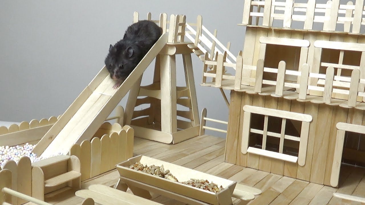 how to make popsicle stick house and slide for hamster youtube diy hamster house hamster toys hamster house