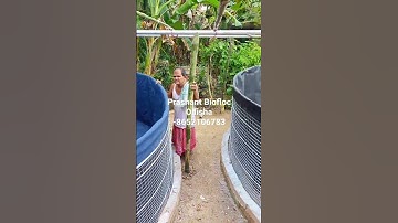 Biofloc tarpuline Tank complete set-up #odishabiofloc #tarpaulintank