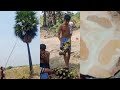 Village Boys WhatsApp Status Nongu WhatsApp Status Nongu Highlight Edit Shorts