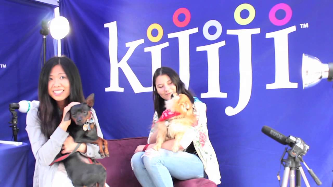 Miniature Pinscher, Zip - June 8, 2013 - YouTube