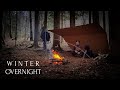 2 DAY Solo Winter Bushcraft in Bear Country - Moss Bed - Chili Con Carne - Camping With Dog