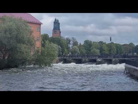 اسكلستونا السويد 2023