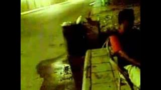 ROMA IRAMA BERKELANA