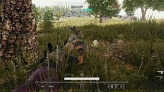 Funny Exploding Buggy