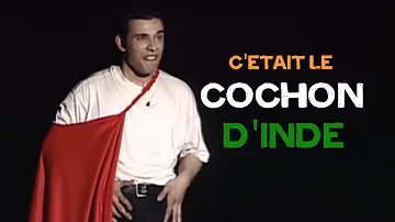 Quelle est l'origine du cochon d'Inde ?