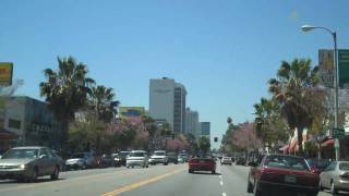 Ventura Blvd in Sherman Oaks California HD