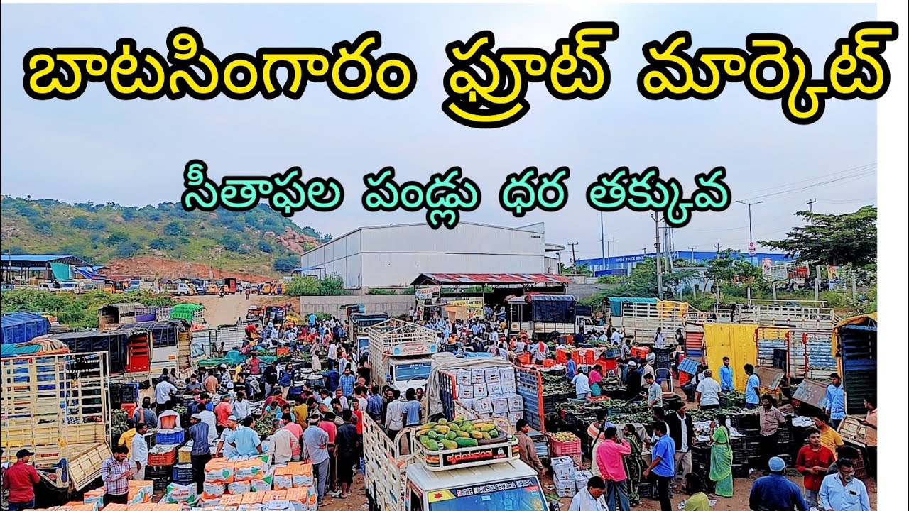 #today #మన రాష్ట్రంలో బిగ్ మార్కెట్#సీత ఫలాలు#batasingaram ఫ్రూట్ ...