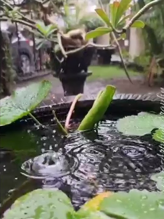 Rain and tears are the same