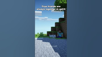 A one true friend... 😢  #minecraft #memes