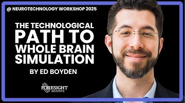Ed Boyden | The Technological Path to Whole Brain Simulation @ Neurotechnology Workshop 2025