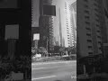 و غدا ننسى فلا نأسى على ماض تولى     الإمارات أبوظبي   369