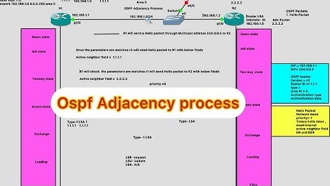 CCNA Nov 24th Batch | OSPF Adjacency Process | OSPF states | #tungabadranetworks
