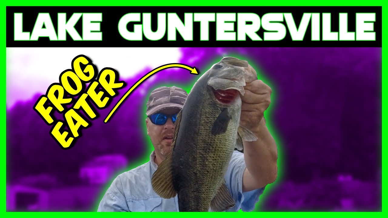 Lake Guntersville Summer Bass Fishing| Fishing Trip | Day 1