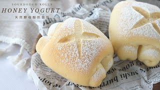 Sourdough Honey Yogurt Rolls | 天然酵母酸奶面包 |