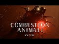 Souffre  combustion animale  official music