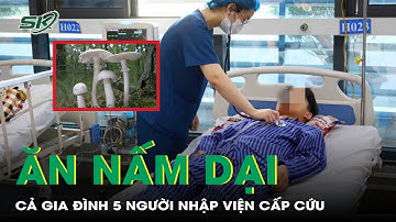 Ăn nấm dại, cả gia đình 5 người phải nhập viện cấp cứu | SKĐS