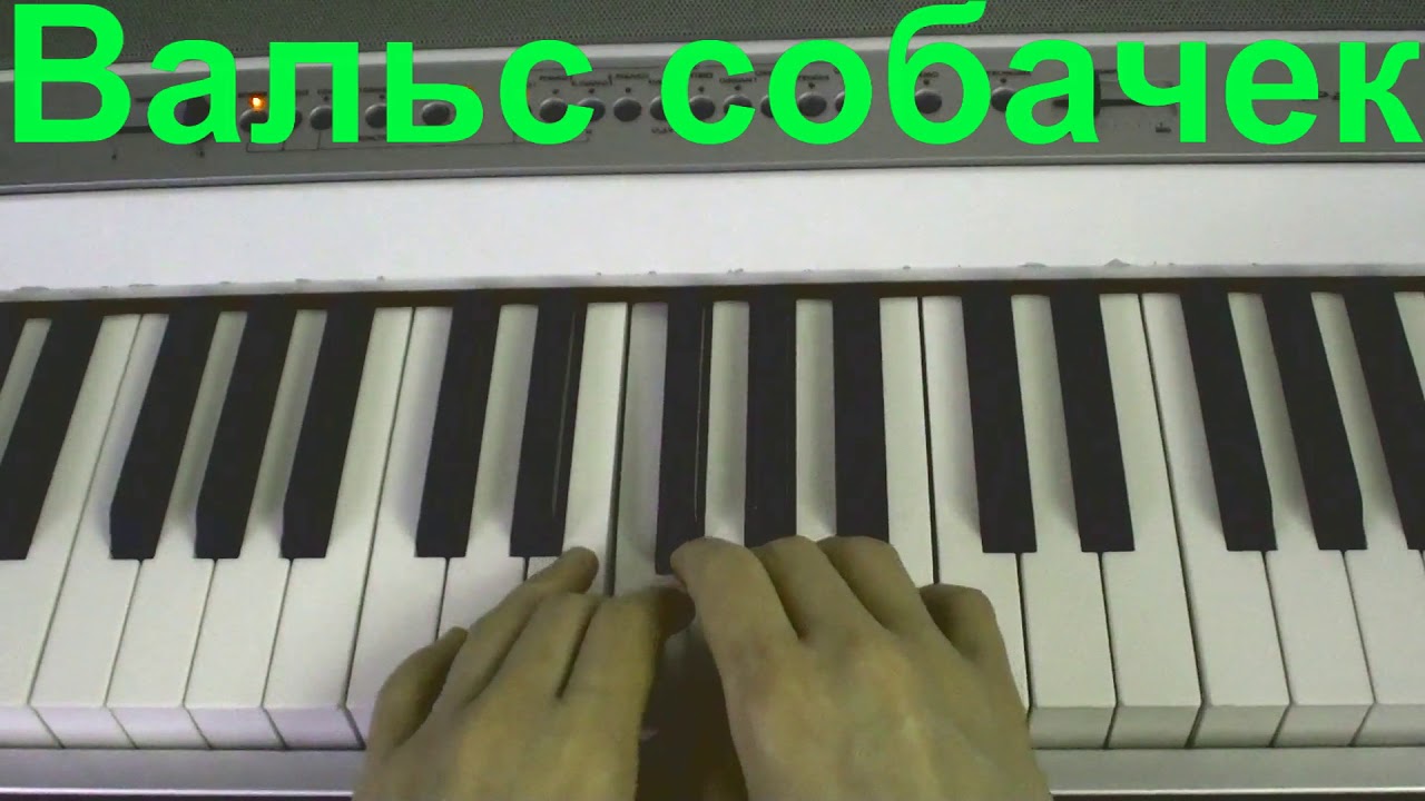 Собачий вальс картинка на пианино. Сыграть на детском синтезаторе собачий вальс. Собачий вальс клавиши на пианино. Собачий вальс на клавишах синтезатора. Собачий вальс на электропианино.
