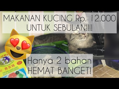 Video: Bagaimana Menghilangkan Ketombe pada Rottweiler