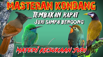 MASTERAN KONDANG ! Masteran Tembakan Rapat Untuk isian - Masteran MURAI BATU ,CUCAK IJO ,KACER