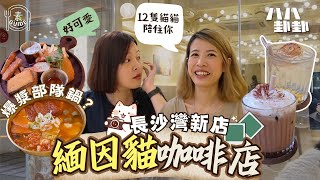 素Guide 緬因貓陪你嘆tea｜部隊鍋都有素？｜誠意素食貓cafe｜八八卦卦Upwhattoday