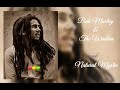 Bob marley  the wailers  natural mystic  432 hz