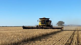 Harvesting the oats... Full noise!