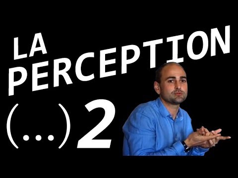 Vidéo: Jouer avec la perception: Prism Table de Maurie Novak