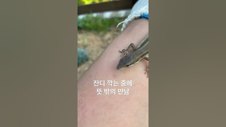 잔디 깍는 중에 뜻 밖에 만난 줄장지뱀